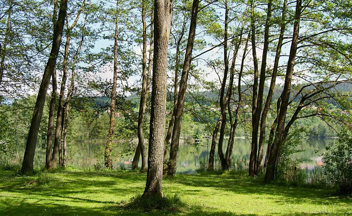 Hotel St. Georgen am Längsee