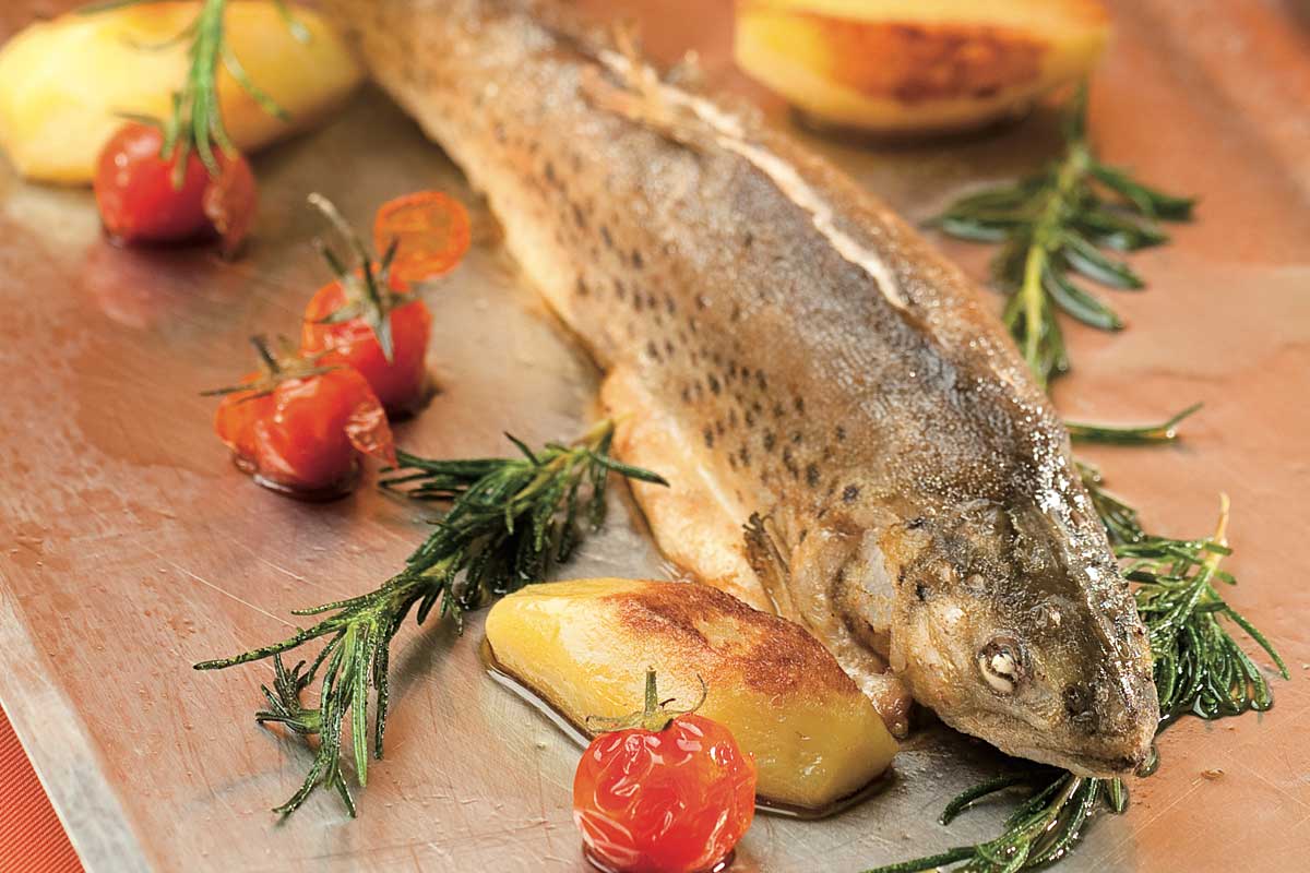 Heimische Fische direkt aus dem Längsee